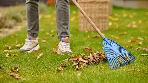 Seasonal Cleanups & Maintenance Package