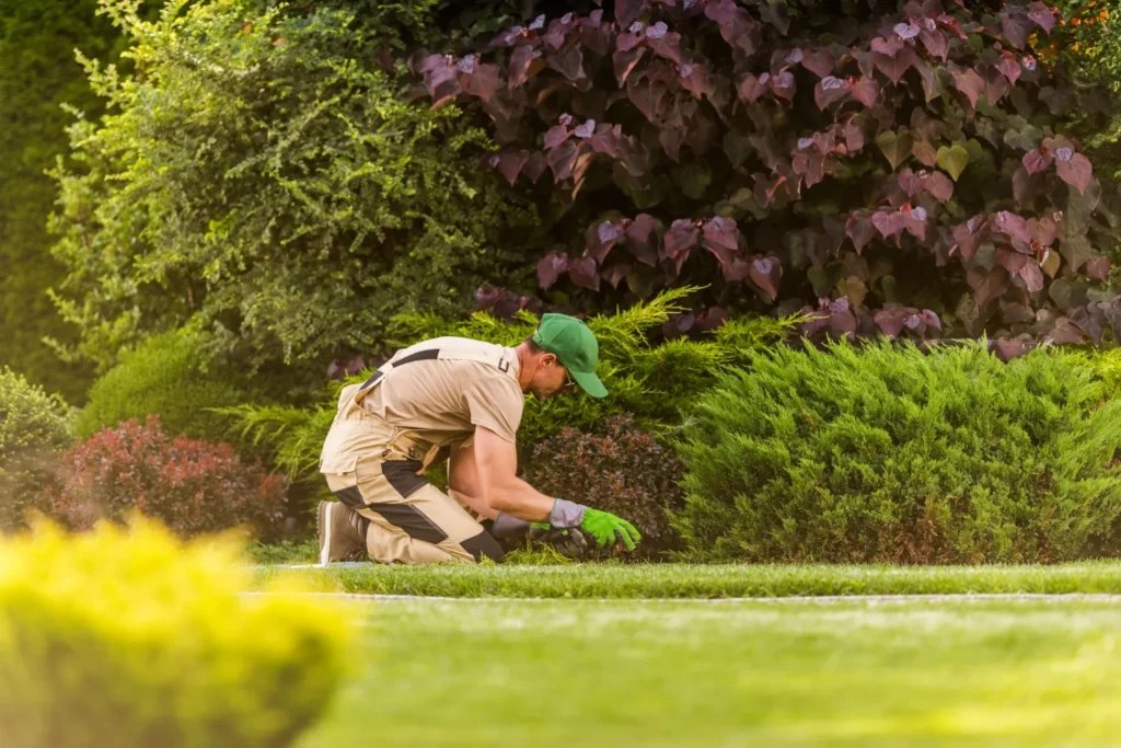 gardening services