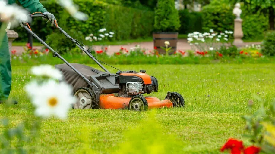 gardening services