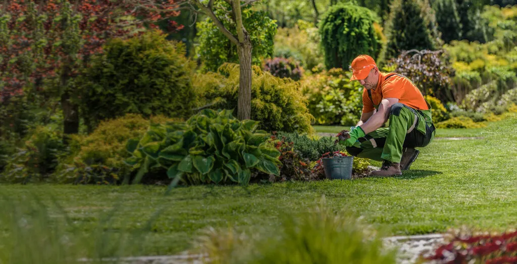 gardening services